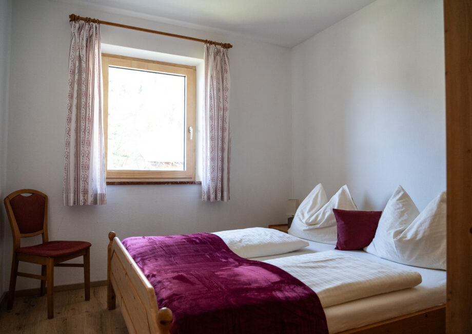 25-11-Alpenflora-App-Edelweiss-13