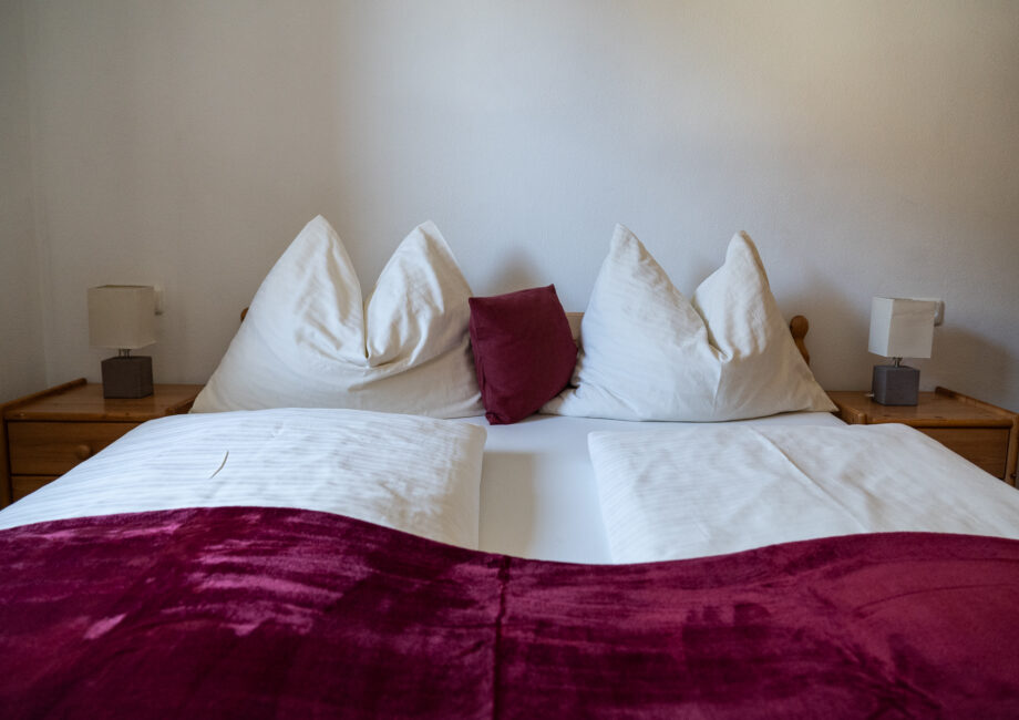 25-11-Alpenflora-App-Edelweiss-15