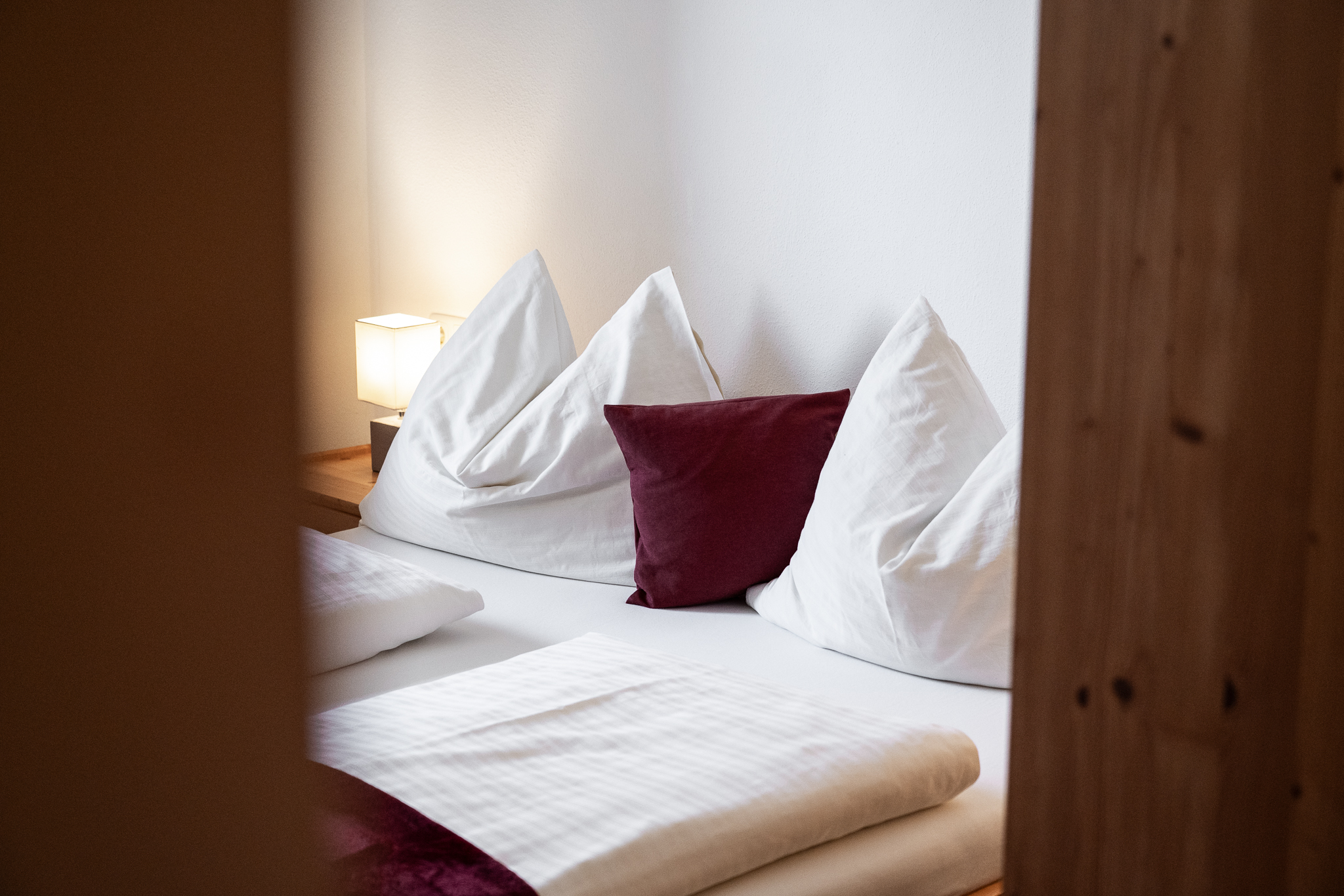 25-11-Alpenflora-App-Enzian-28