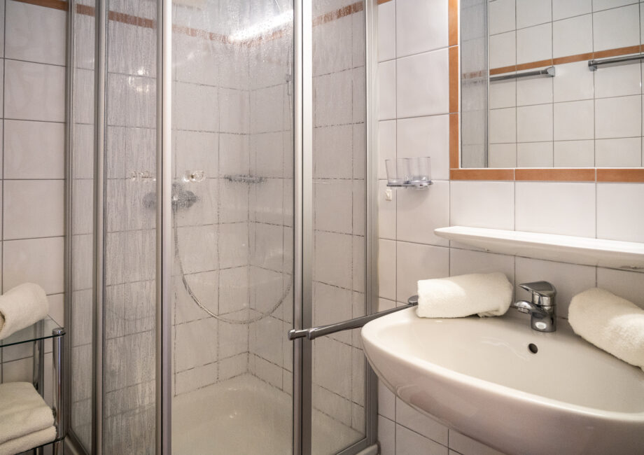 25-11-Alpenflora-App-Gamsbleami-07