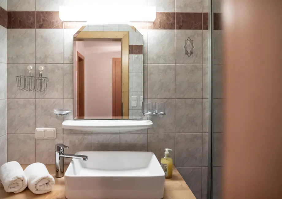 25-11-Alpenflora-App-Schneerose-01